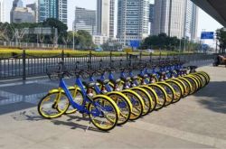 【4分钟科普下】衡阳市工厂咨询电话号码_哔哩哔哩-3